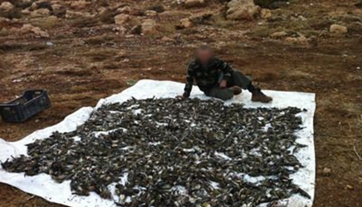 بالفيديو - "دواعش" الطيور يذبحونها ويوثقون جريمتهم "وعلى عينين الدولة"