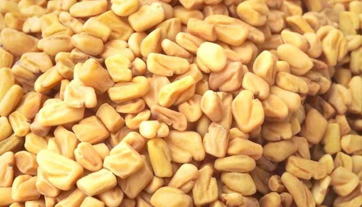 نبتة الحلبة وفوائدها