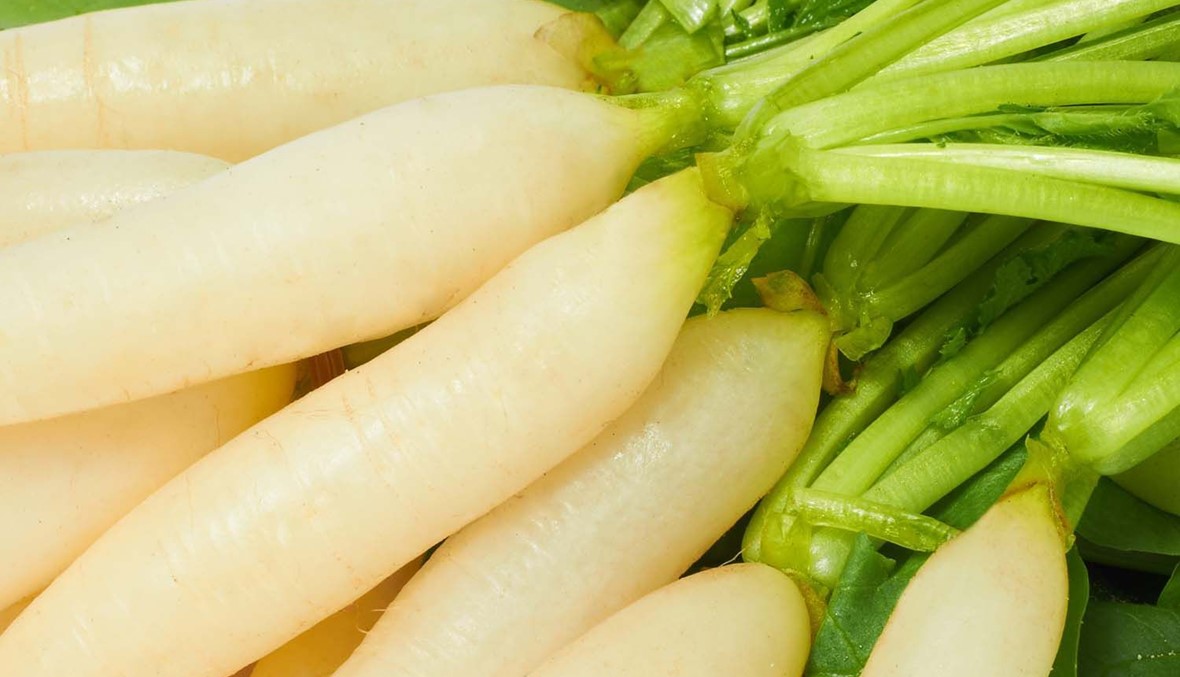 الفجل الأبيض: فوائده الغذائية والجنسية