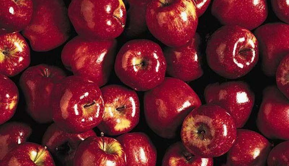 لقاء في السفارة المصرية لمساعدة مزارعي التفاح في تصريف انتاجهم