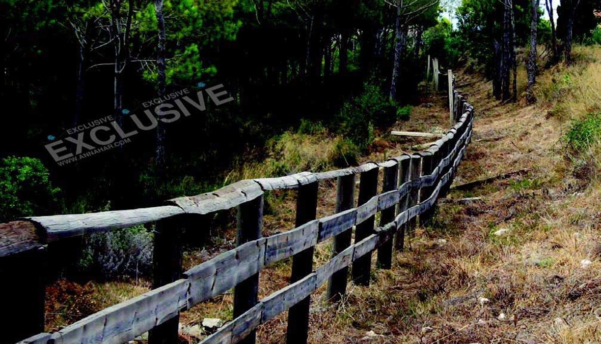 محميّة بنتاعل مهدّدة ولا يبدو أن وزارة البيئة قادرة على حمايتها