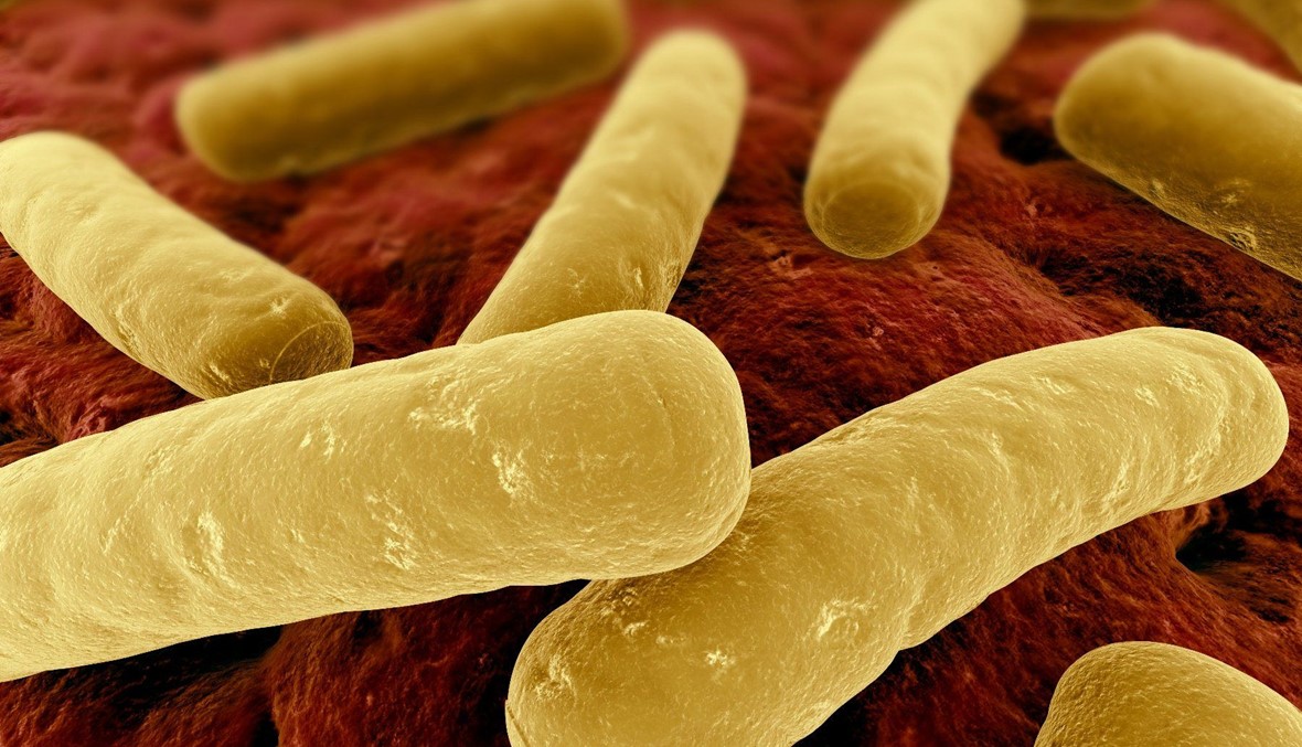 تحذير... هذه البكتيريا قد تتربص بك في عيادات الأطباء!