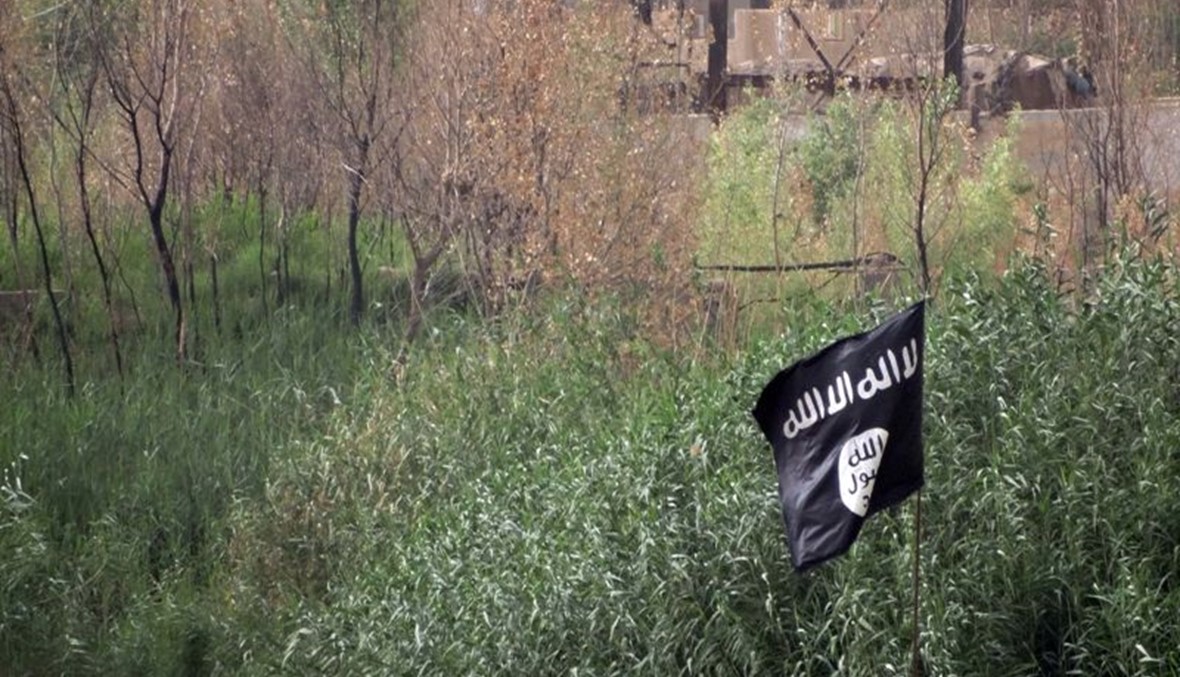 التحالف الدولي ينفذ 22 ضربة جوية ضد "داعش"