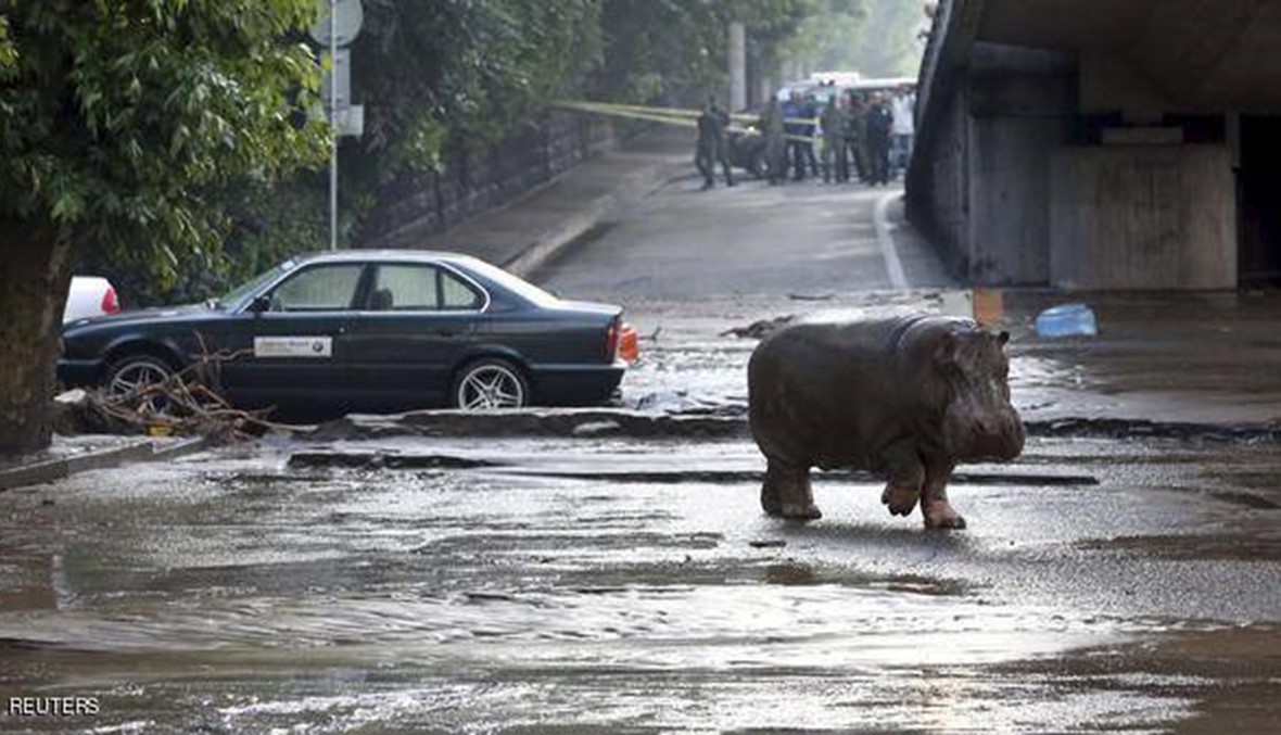 فيضانات في عاصمة جورجيا تحصد المزيد من القتلى