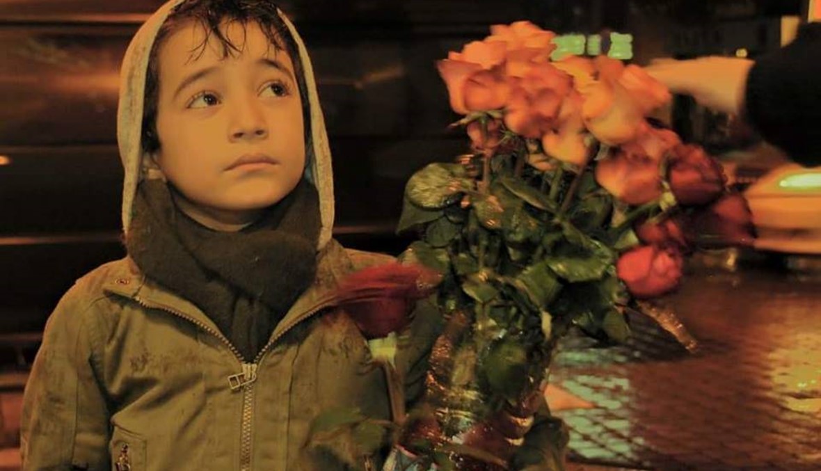 فارس... الوردة التي لن تذبل