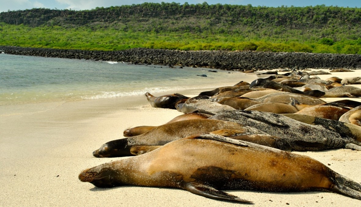 أفضل 10 جزر حول العالم لعام 2015 (صور)