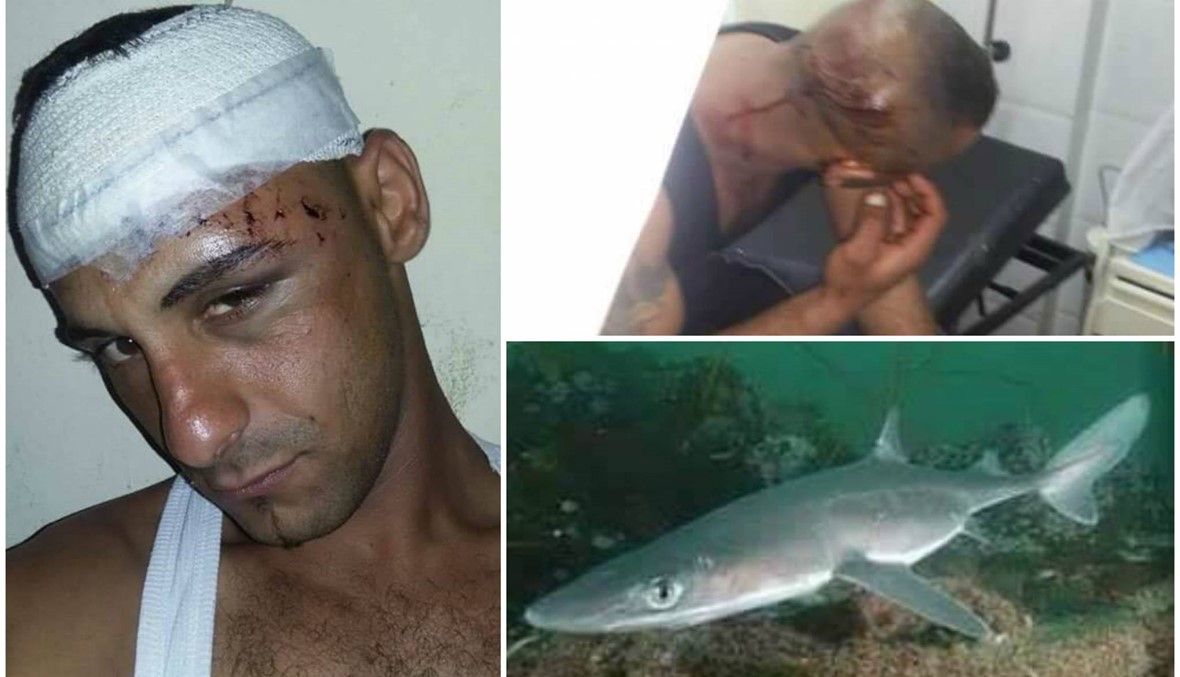 هكذا هاجمت سمكة القرش بهاء في بحر شمال لبنان
