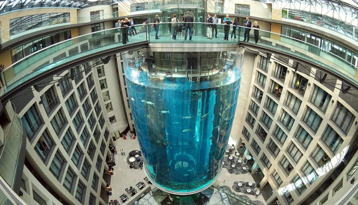 1500 سمكة غريبة تحيط بمصعد في فندق؟ (بالصور)