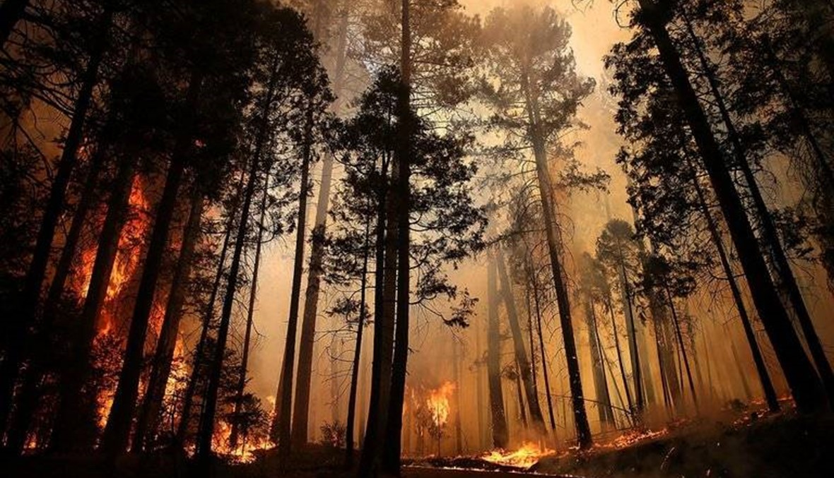 كارثة في كاليفورنيا... الحرائق ترغم الآلاف على الفرار