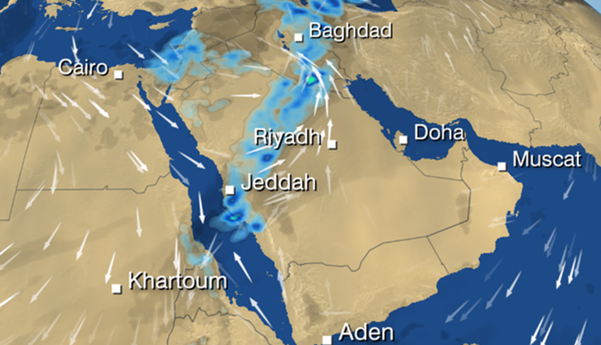 ثلاثة قتلى واضطراب الملاحة الجوية جراء امطار غزيرة في السعودية