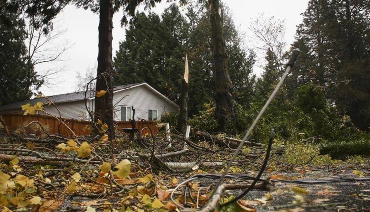 مقتل ثلاثة وانقطاع الكهرباء عن 250 ألف مشترك في عاصفة واشنطن