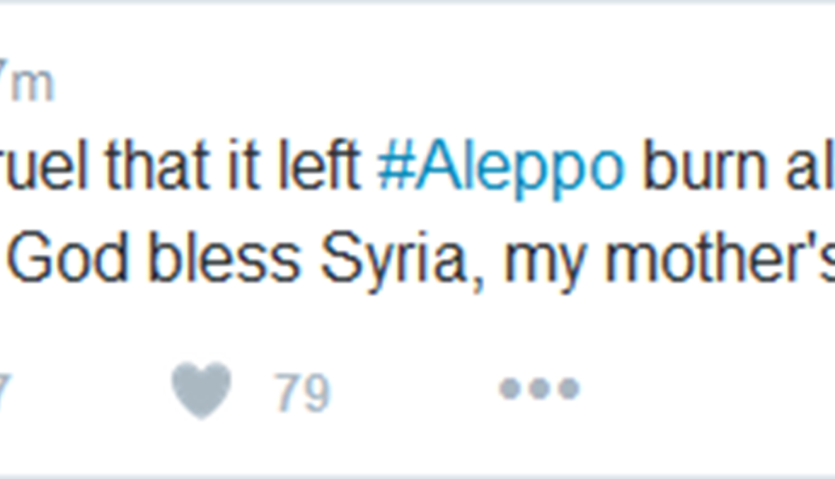 هذا ما قالته إليسا عن إحراق حلب بالبراميل