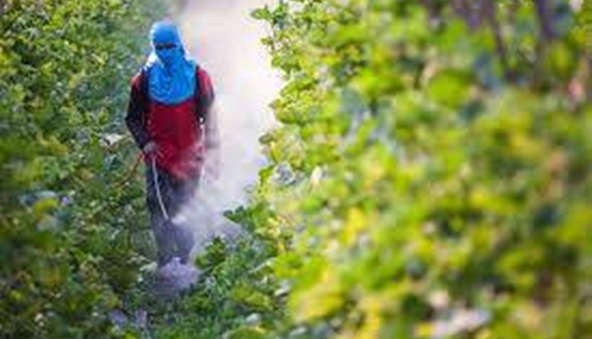 المبيدات "المسرطنة" توقفَ استيرادها لكنها موجودة بالأطنان في السوق... هل من وقاية؟