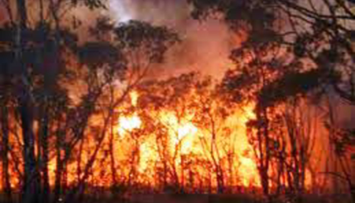 جماعة "جهادية" فلسطينية "تتبنّى" حرائق أريزونا الأميركية!