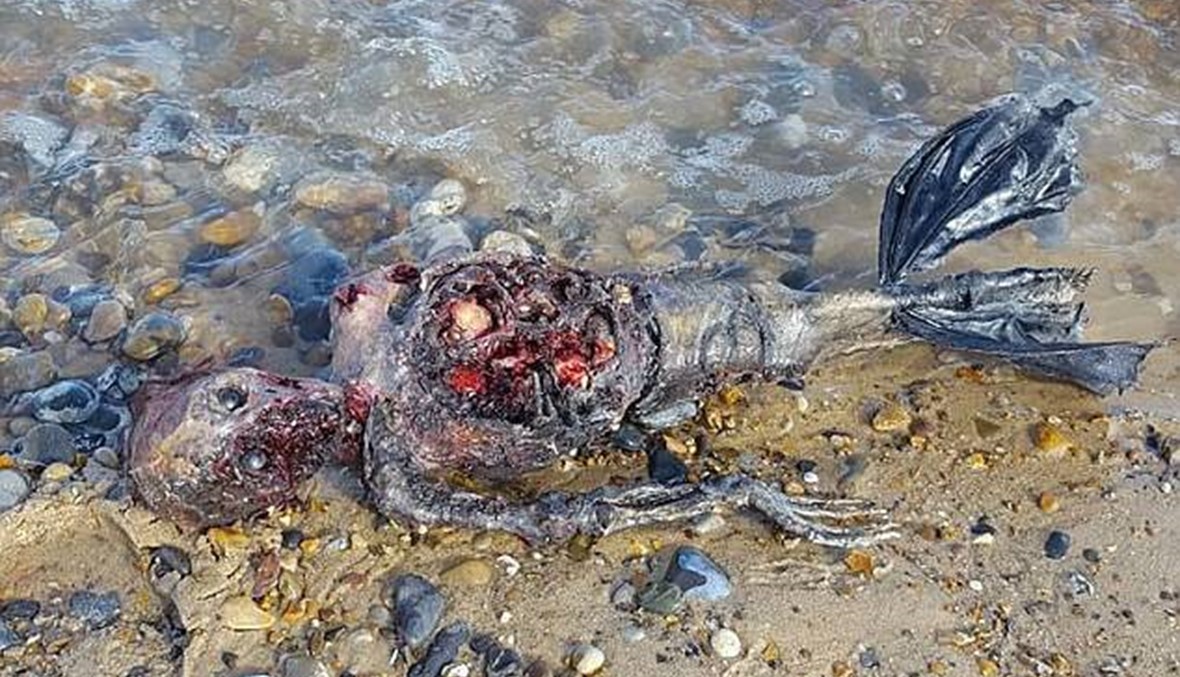 صورة "حورية بحر ميتة" تسجل انتشاراً واسعاً على مواقع التواصل