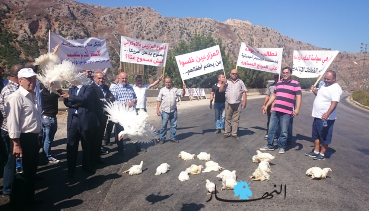 اعتصام لمربّي الدواجن عند مفترق ديرميماس احتجاجاً على الدجاج المستورد