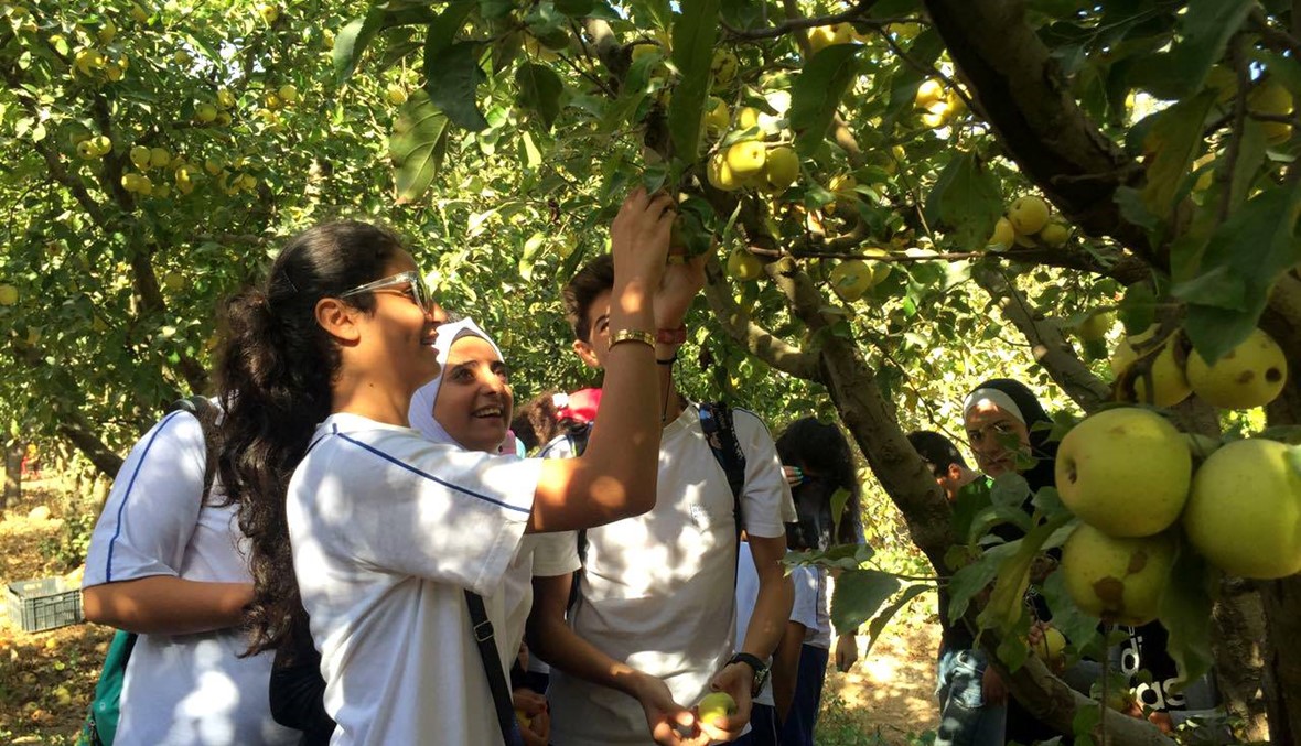 أساتذة وطلاب من مدرسة البهاء- صيدا ساهموا في قطف التفاح بجزين وشرائه