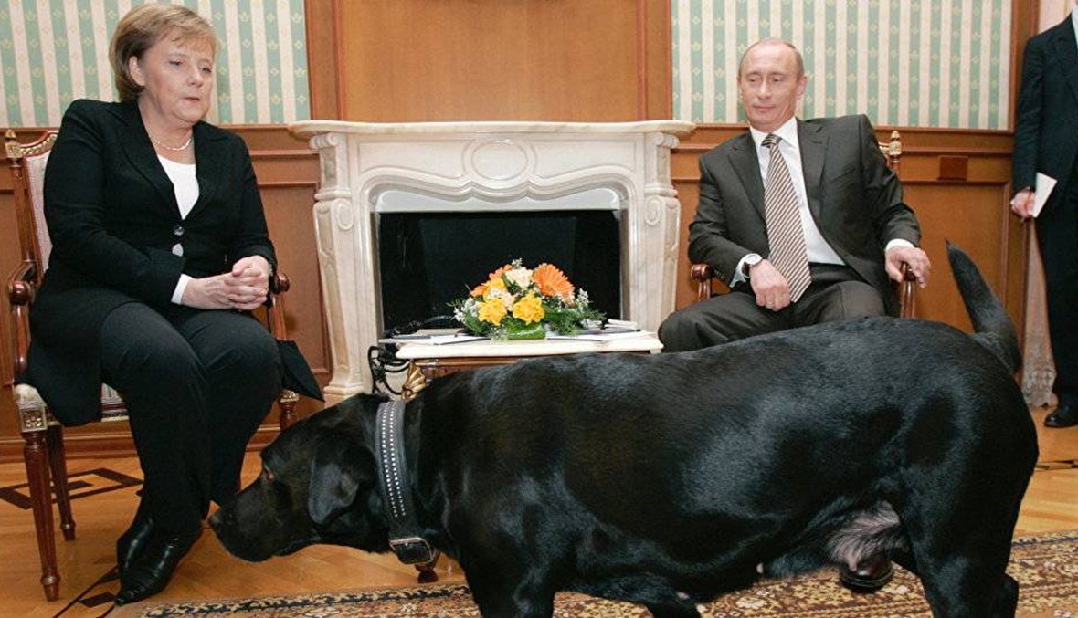 ميركل مستعدة للقاء بوتين حول أوكرانيا... ولكن!