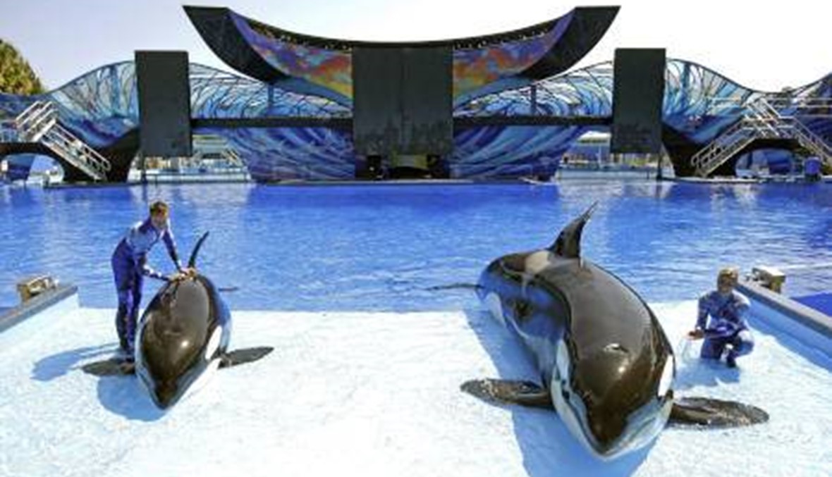 1st SeaWorld park without orcas opening in Abu Dhabi in 2022