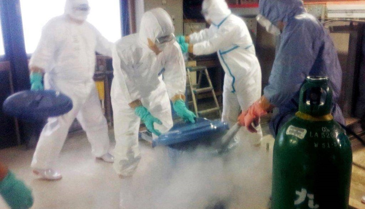 انفلونزا الطيور ينتشر في اليابان: اعدام 90 الف دجاجة
