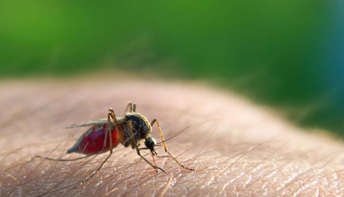 عصية ملاريا مقاوم للعلاج المعياري تنتشر في جنوب شرق آسيا