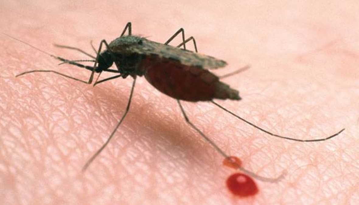 نتائج مشجعة جديدة للقاح تجريبي ضد الملاريا
