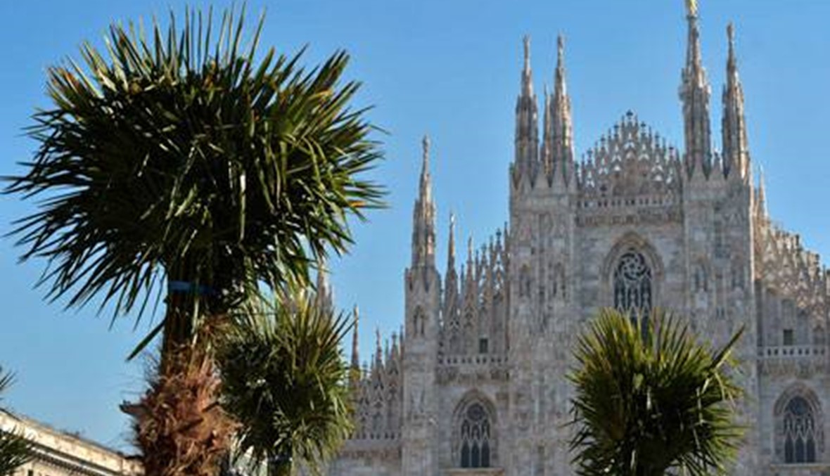 شجر النخيل في ساحة كاتدرائية ميلانو يشعل جدلاً حول استيراده في إيطاليا