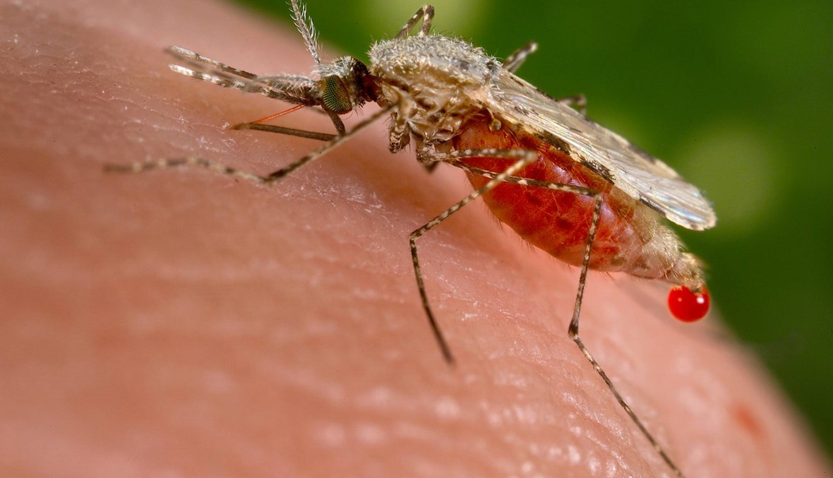 اول حالة ملاريا تقاوم عقار "أرتيميسينين"... الخبراء يخشون "نكسة"