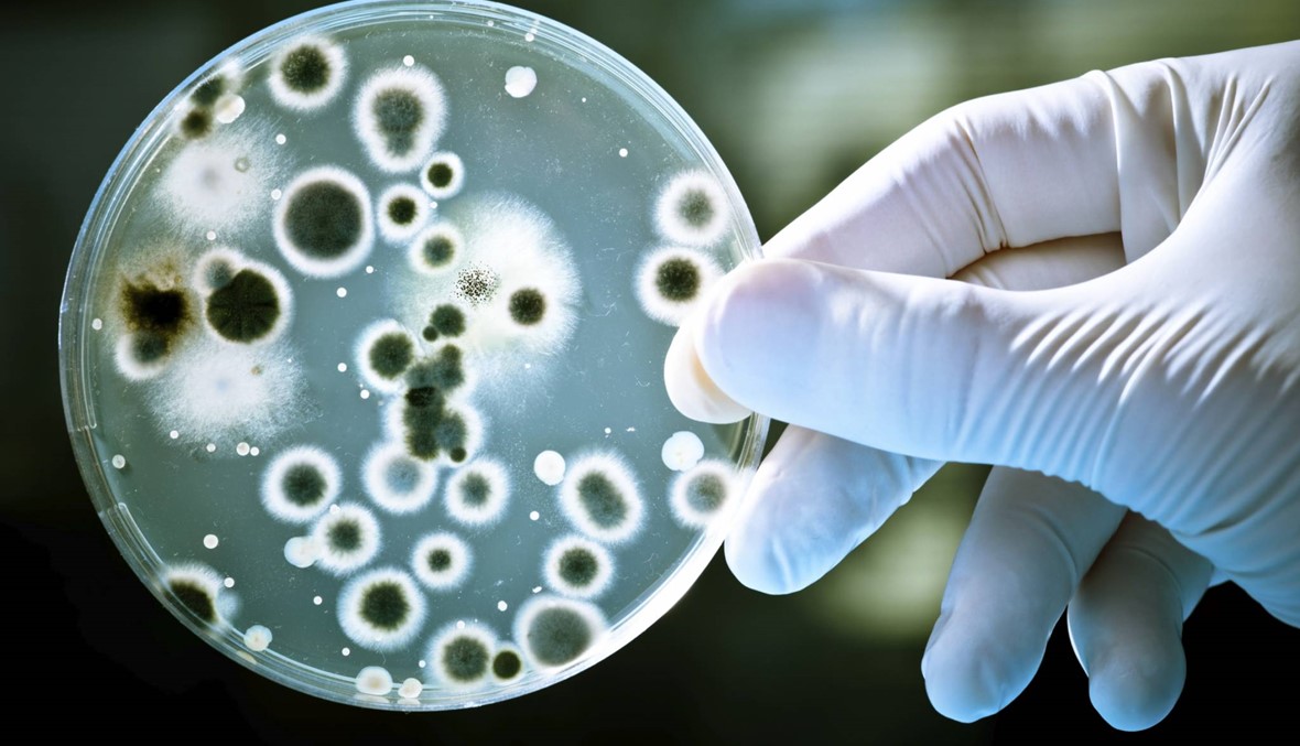 دعوة لتطوير علاجات جديدة لـ 12 "بكتيريا خارقة"