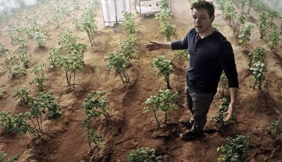 زرع البطاطا على المريخ... قد يصبح ممكنا!