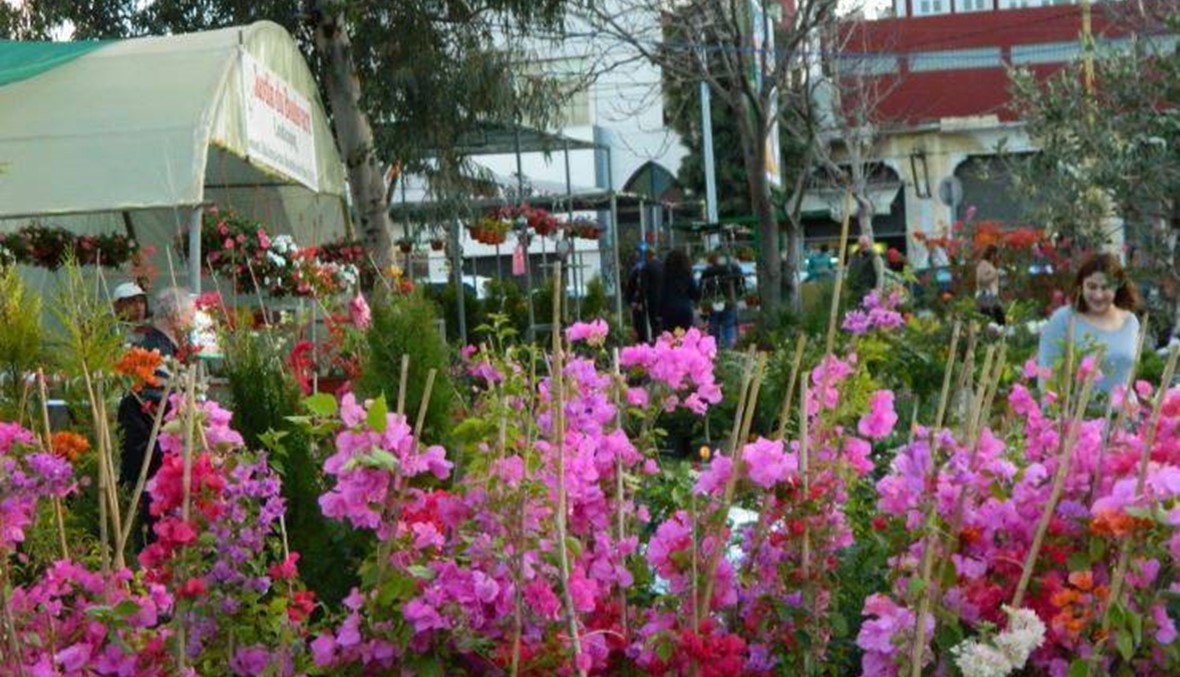 سوق الأزهار والشتول يسبق حلول الربيع... شبيب: نحن إلى جانبكم (صور)