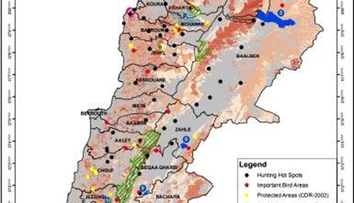 الصيد البري في لبنان... ما هي الطيور المسموح صيدها؟