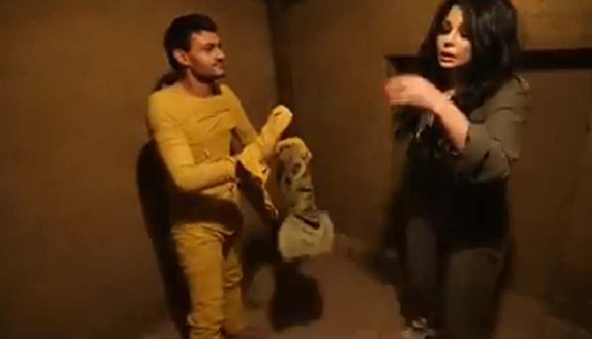 هيفا وهبي تشتم: "يا أخو..."