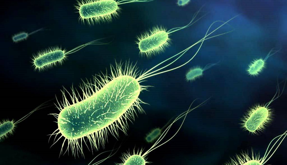 اكتشاف مضاد حيوي جديد فعال في مكافحة البكتيريا المقاومة