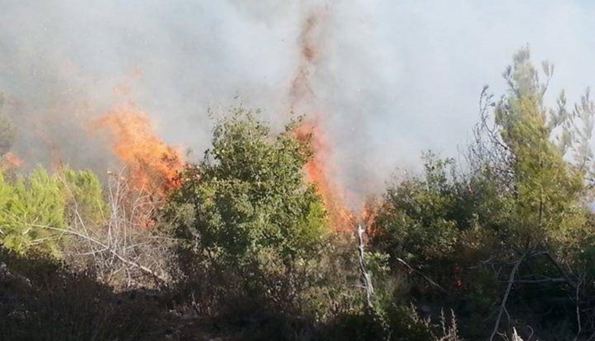 حريق هائل في وادي الجوز الهرمل