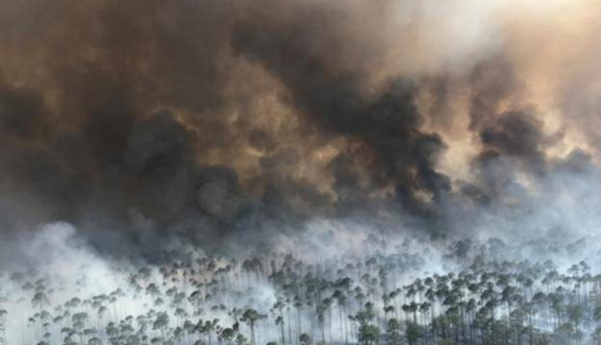 حريق في غابات كاليفورنيا وإجلاء عدد من السكان