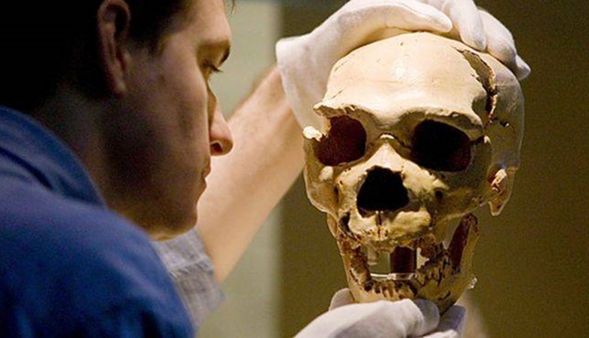 معالجة آلام الأسنان قبل 130 ألف سنة... إكتشاف جديد حول إنسان "نيانديرتال"