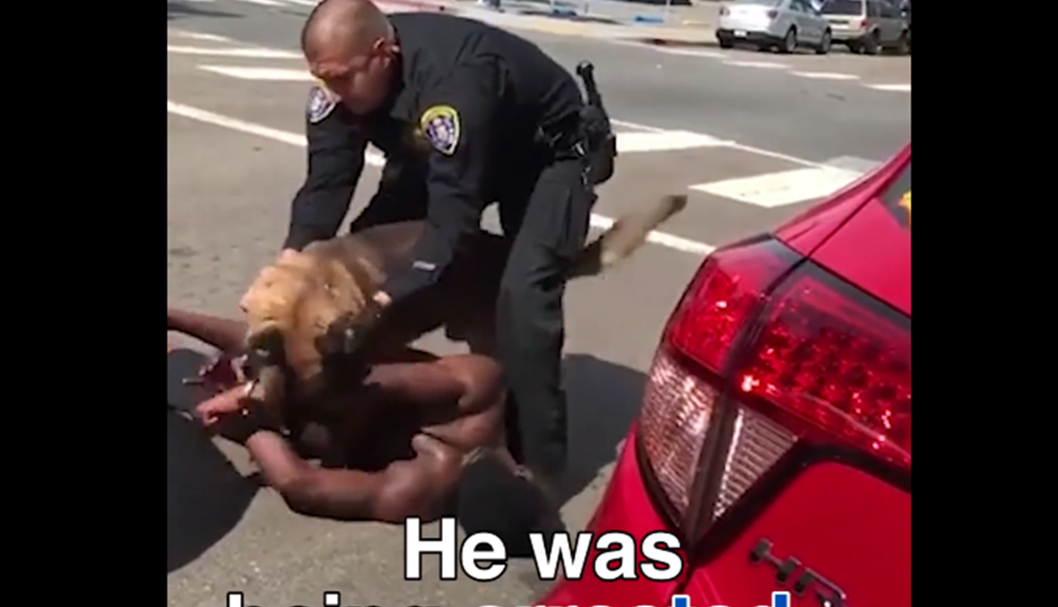 شرطي يفقد السيطرة على كلبه... هاجم المعتقل بشراسة! (فيديو)