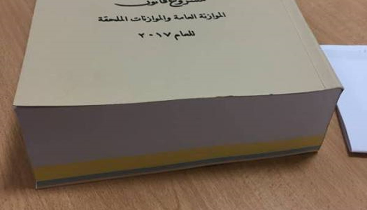 قطع الحساب ضمانة للمالية العامّة