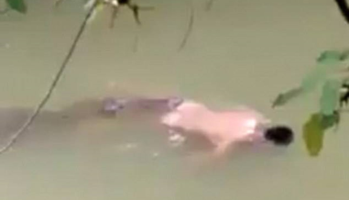 بالفيديو- تمساح يعيد جثة رجل اعتدى عليه... السكان لجأوا إلى مشعوذ لإعادته!