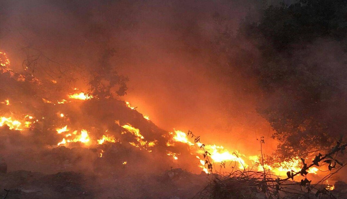 بالصور- النيران التهمت مساحات واسعة من الاشجار في هذا الوادي!