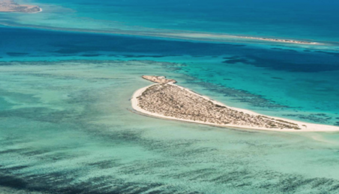 مشروع سياحي على 50 جزيرة بالبحر الأحمر... السعودية تستعرض كنوزها الطبيعية