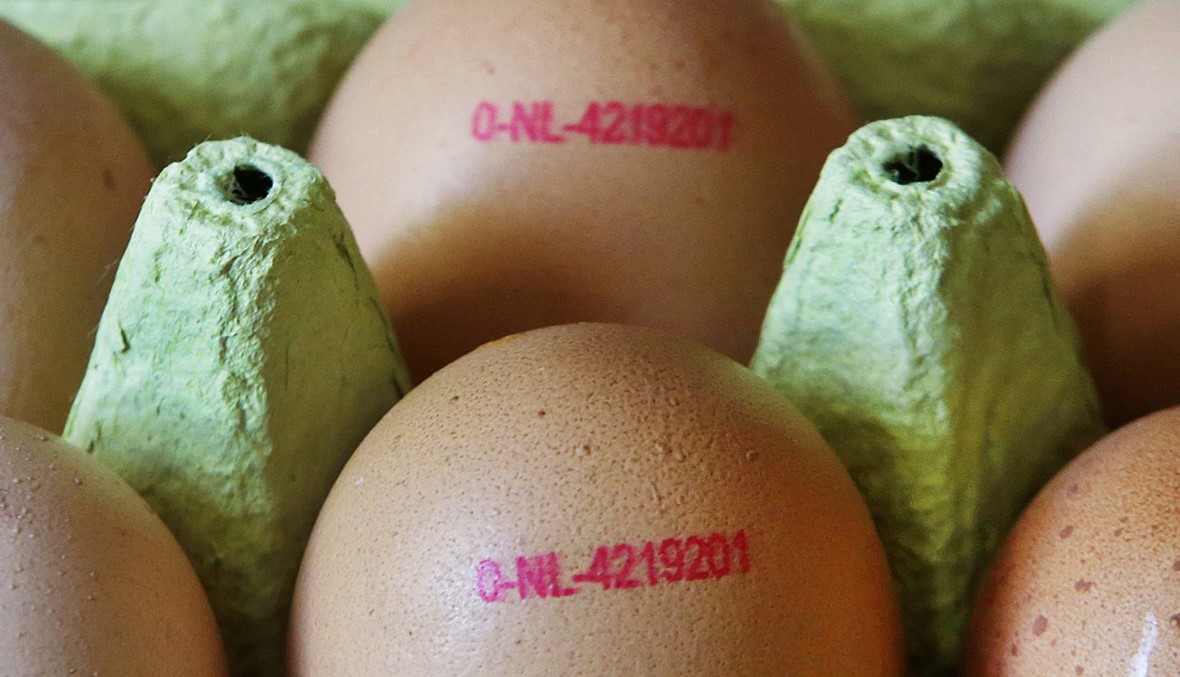 مسؤول في الاتحاد الأوروبي يدعو لقمة تبحث تلوّث بيض الدواجن