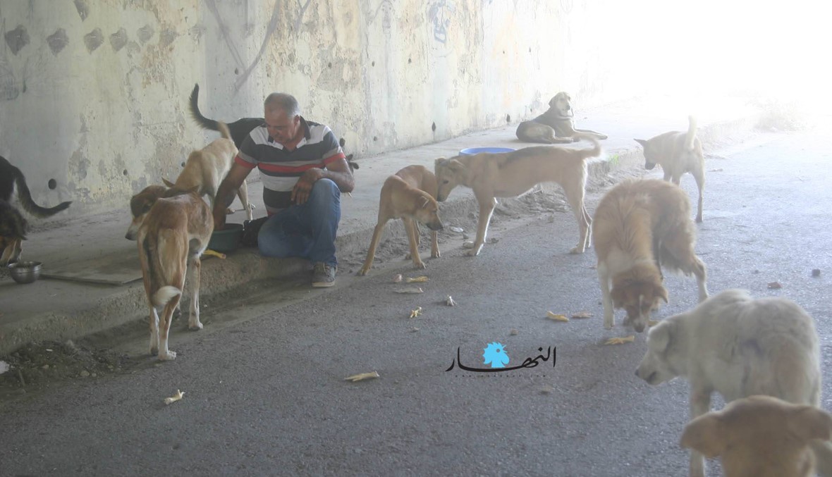 حسين حمزة نذر نفسه لرعاية الكلاب الشاردة والمعنّفة... "على الناشطين في مجال الرفق بالحيوان المساعدة" (صور)