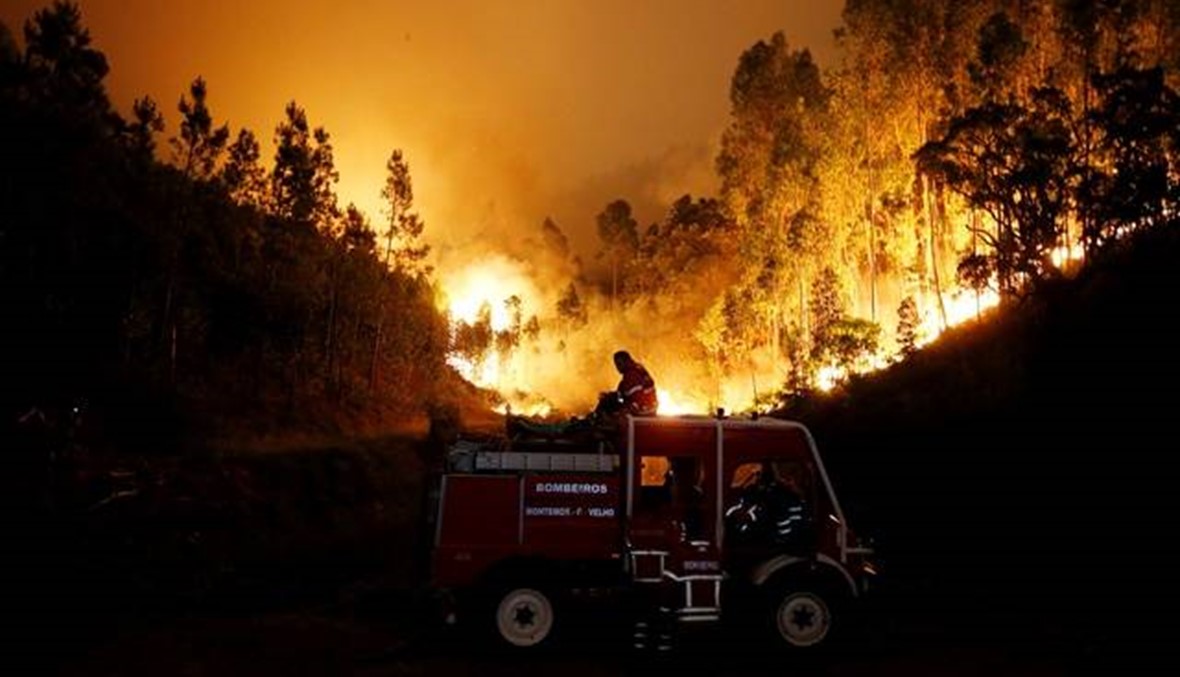 البرتغال: الحرائق تدمّر 214 ألف هكتار من الغابات