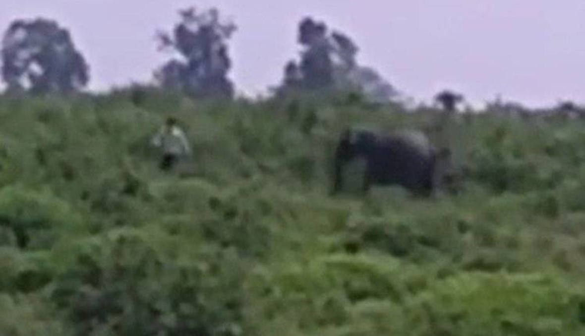 بالفيديو- حاول التقاط سيلفي مع الفيل... فانتهت بموته