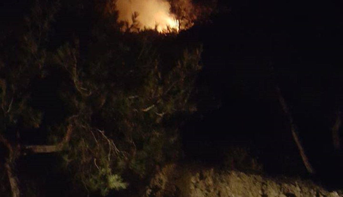 بالصور: حرائق في أحراج دميت بالشوف