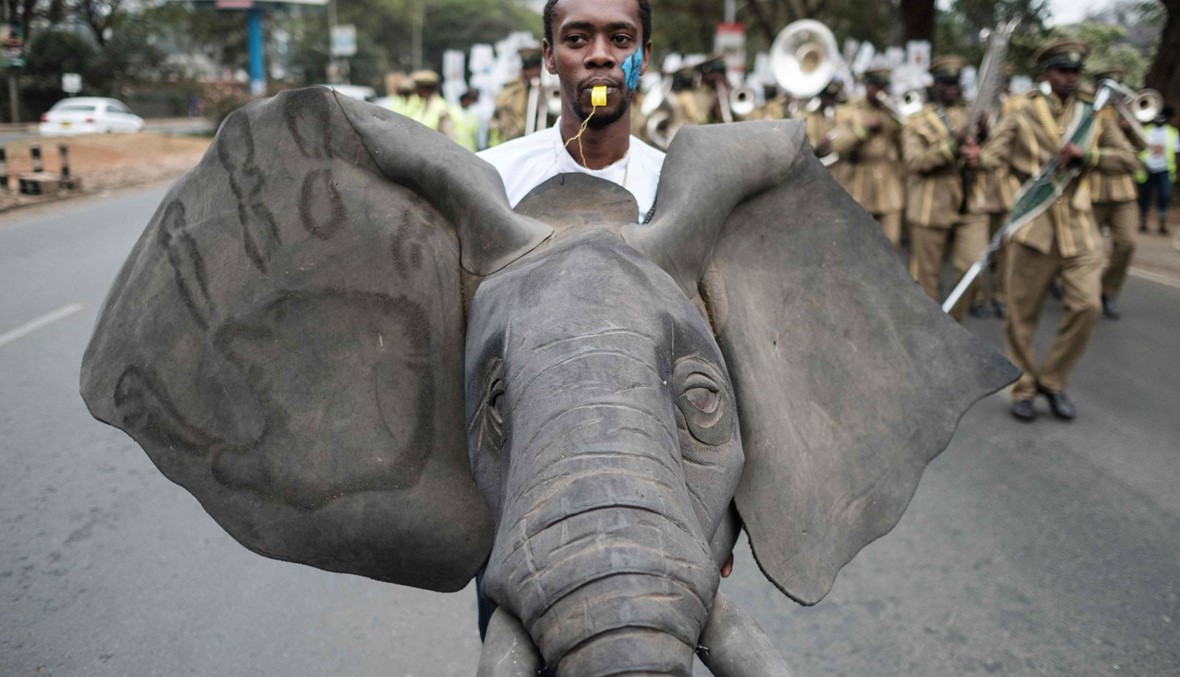 مسيرة لحماية الفيلة من الصيد في نيروبي (أ ف ب)