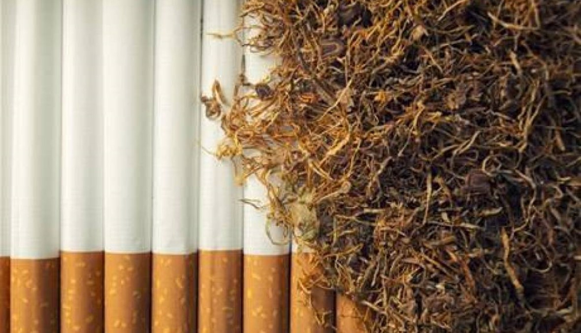 الريجي: بدء عملية شراء التبغ جنوباً