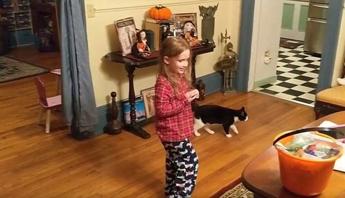 بالفيديو: ردة فعل طفلة  بعد إهدائها قطة في عيد ميلادها